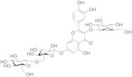 Quercetin-3-O-Beta-D-glucose-7-O-Beta-D-gentiobioside