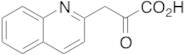 2-Quinolinepyruvic Acid
