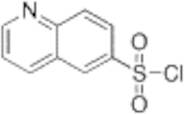 Quinoline-6-sulfonyl Chloride