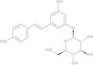 trans Resveratrol 3-O-b-D-glucopyranoside, 98%