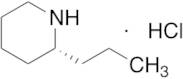 (R)-Coniine Hydrochloride (~25% S-isomer)