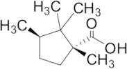 (1R,3S)-1,2,2,3-Tetramethylcyclopentane-1-carboxylic Acid