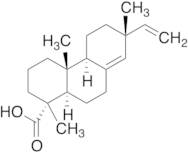(-)-Sandaracopimaric Acid