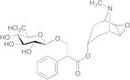 Scopolamine β-D-Glucuronide