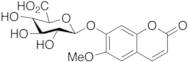 Scopoletin β-D-Glucuronide