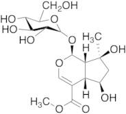 Shanzhiside Methyl Ester