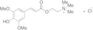 Sinapine Chloride