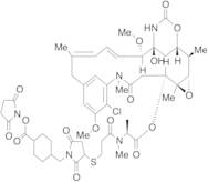 SMCC-DM1