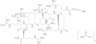 Stearyl Octaarginine Trifluoroacetate