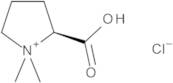 Stachydrine Chloride