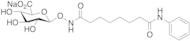 Suberoylanilide Hydroxamic Acid β-D-Glucuronide Sodium Salt