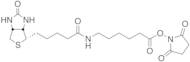 Succinimidyl-6-(biotinamido) Hexanoate