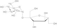 Sucrose-13C6-glu