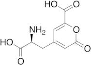 L-Stizolobic Acid