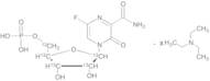 T-705RMP-13C5 TEA Salt