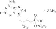 Tenofovir Phosphate Diammonia Salt-13C5