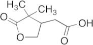 rac-Terpenylic Acid