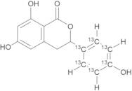 Thunberginol C-13C6