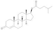 Testosterone 17-Isocaproate