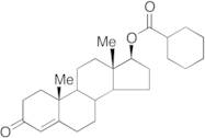 Testosterone 17-Hexahydrobenzoate