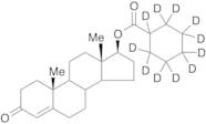 Testosterone 17-Hexahydrobenzoate-d11