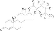 Testosterone Hexanoate-d11
