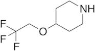 4-(2,2,2-trifluoroethoxy)piperidine