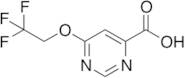 6-(2,2,2-Trifluoroethoxy)pyrimidine-4-carboxylic Acid