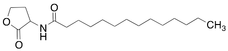 N-Tetradecanoyl-DL-Homoserine Lactone