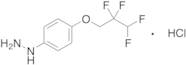 [4-(2,2,3,3-tetrafluoropropoxy)phenyl]hydrazine Hydrochloride