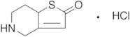 5,6,7,7a-Tetrahydrothieno[3,2-c]pyridinone Hydrochloride
