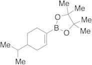 4,4,5,5-Tetramethyl-2-[4-(1-methylethyl)-1-cyclohexen-1-yl]-1,3,2-dioxaborolane