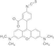 Tetramethylrhodamine-5-isothiocyanate