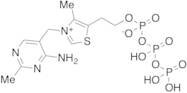 Thiamine Triphosphate