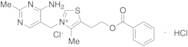 Thiamine Benzoate Hydrochloride