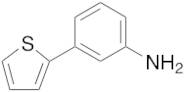 3-Thiophen-2-yl-phenylamine