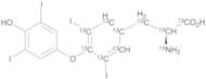 Thyroxine Carboxy,alpha,beta,1,2,3,4,5,6-13C9,15N
