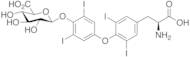 Thyroxine 4’-O-b-D-Glucuronide