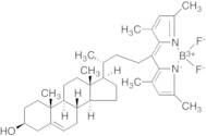 TopFluor Cholesterol