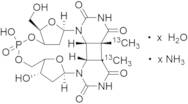 cis-syn-Thymidine Dimer-13C2