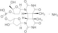 cis-syn-Thymidine Dimer Ammonium Salt (~90%)