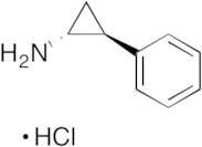 (1R,2S)-Tranylcypromine Hydrochloride