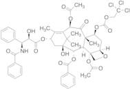 7-{[(2,2,2,-Trichloroethyl)oxy]carbonyl} Paclitaxel