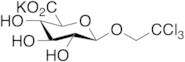 Trichloroethyl Beta-D-Glucuronide Potassium Salt