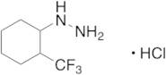 [2-(Trifluoromethyl)cyclohexyl]hydrazine Hydrochloride