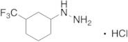 [3-(Trifluoromethyl)cyclohexyl]hydrazine Hydrochloride