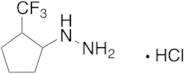 [2-(Trifluoromethyl)cyclopentyl]hydrazine Hydrochloride
