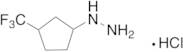 [3-(Trifluoromethyl)cyclopentyl]hydrazine Hydrochloride