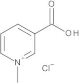 Trigonelline Chloride