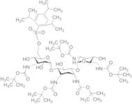 O-2,4,6-Triisopropylbenzenesulfonyl Penta-N-Boc Tobramycin